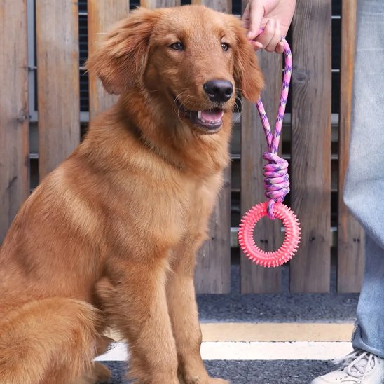 Jouet chien Corde-anneau golden rouge