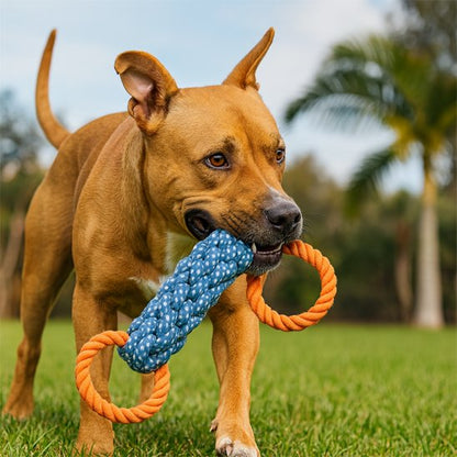 Jouet Chien CordoGym jeu grand chien
