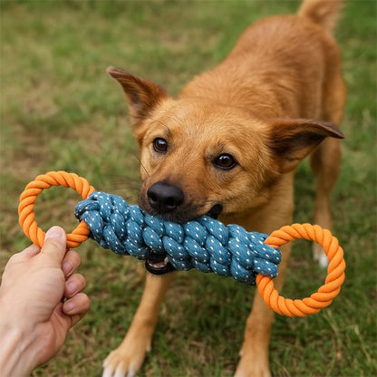 Jouet Chien CordoGym Tirage