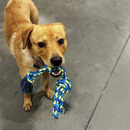 Jouet chien indestructible Cord-Action Chalet