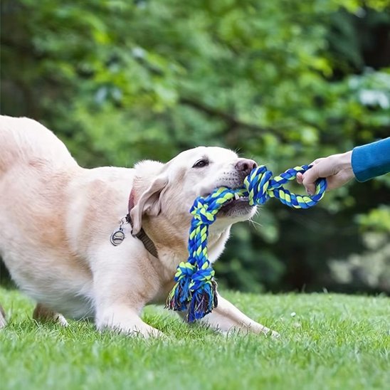 Jouet chien indestructible Cord-Action Jardin