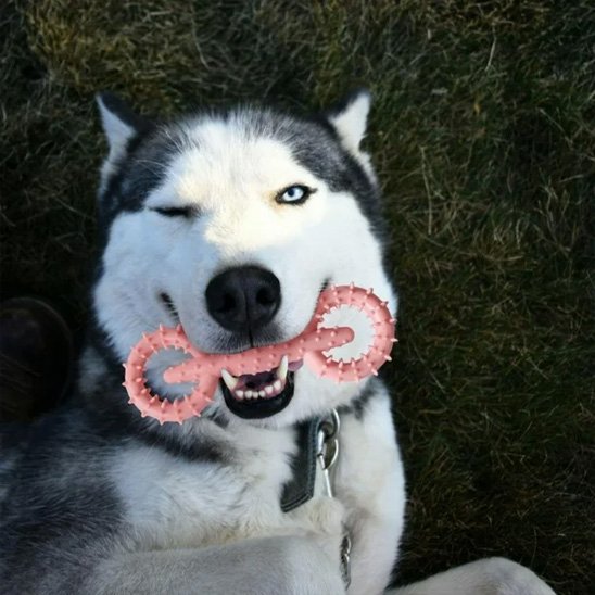 jouet chien indestructible Gym rose