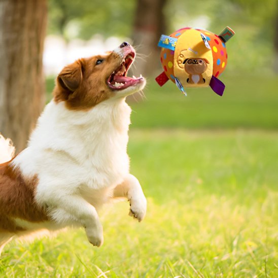 Jouet chien Inter-actif parc