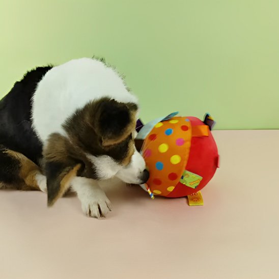 Jouet chien Inter-Actif petit chien
