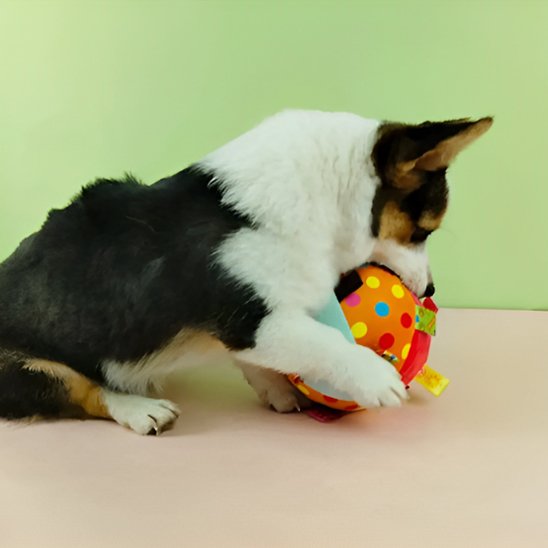 Jouet chien Inter-Actif petit