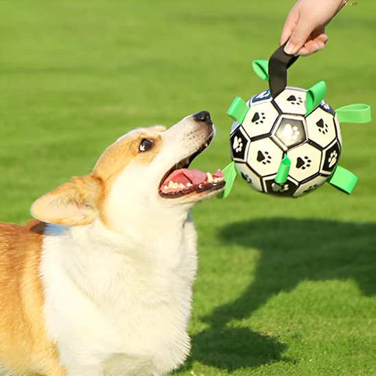 Jouet chien Inter-Actif Zen Corgie