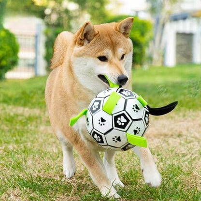 Jouet chien Inter-Actif Zen Parc
