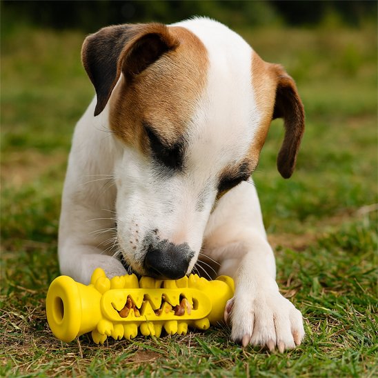 Jouet pour chien Méritas jaune