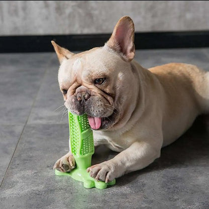Jouet pour chien Patte vert calme