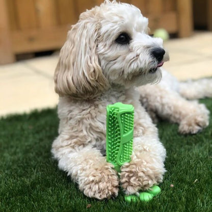 Jouet pour chien​ Patte vert exterieur