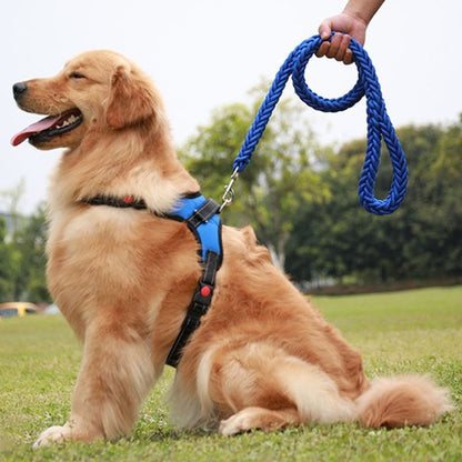 Laisse chien Maxi-Laisse bleu