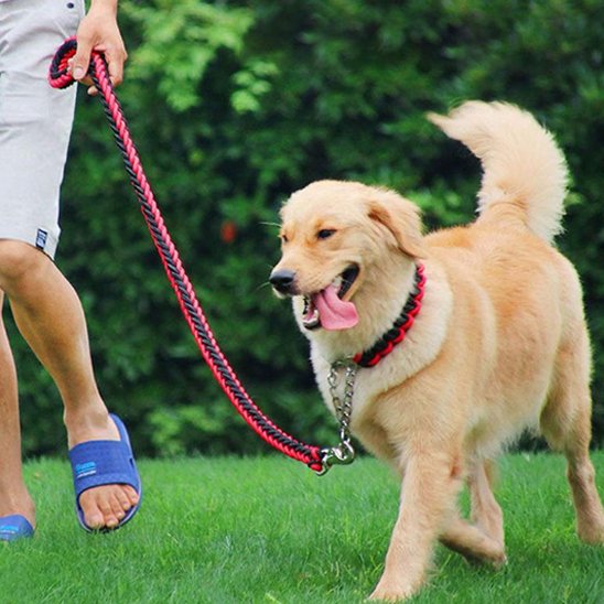 Laisse chien Maxi-Laisse golden rouge