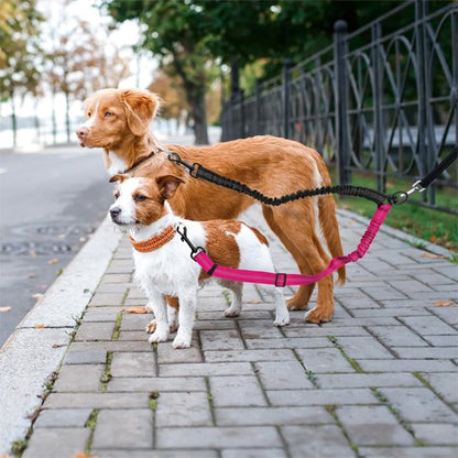 Laisse double pour chien moyen et petit
