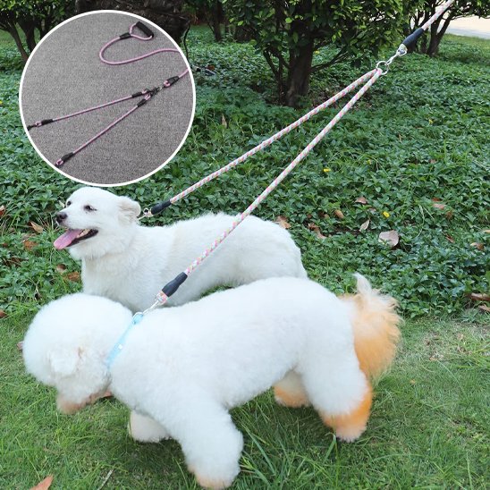 Laisse double pour chien produit chiens blancs
