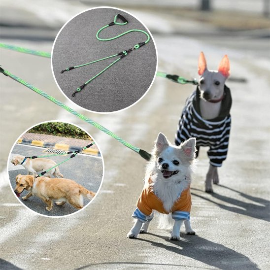 Laisse double pour chien produit double