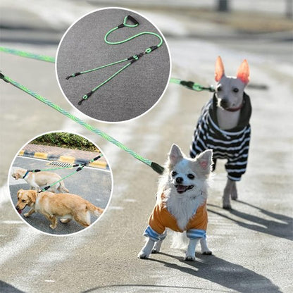 Laisse double pour chien produit double