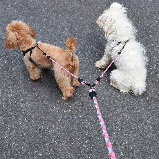 Laisse double pour chien rose