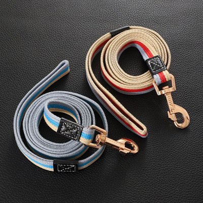 Laisse pour Chien chic produit