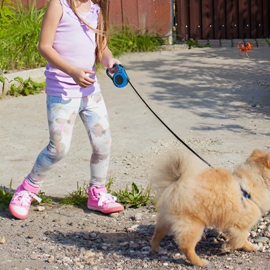 Laisse pour chien enrouleur ballade