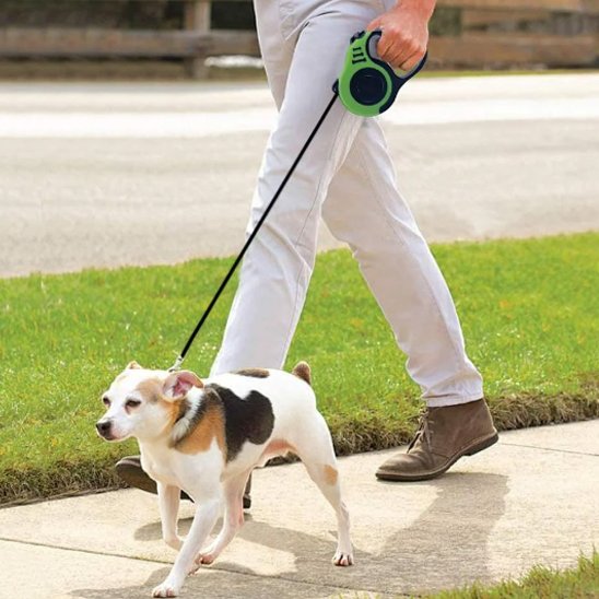 Laisse pour chien enrouleur bleu