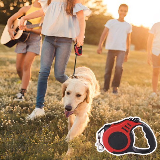 Laisse pour chien enrouleur produit rouge