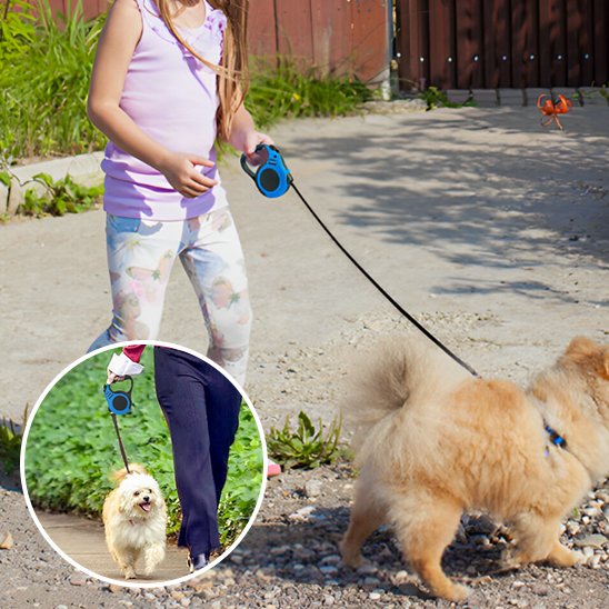 Laisse pour chien enrouleur produit
