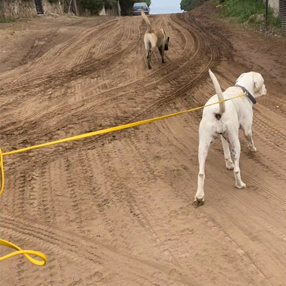 Laisse pour chien longe chien blanc