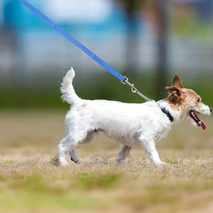Laisse pour chien maxi longe ballade