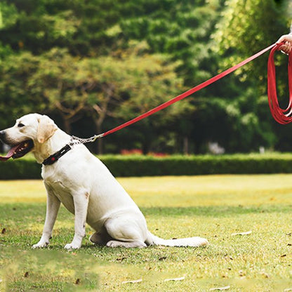 Laisse pour chien maxi longe parc