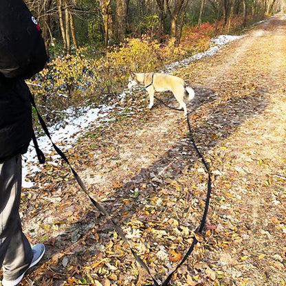 Laisse pour chien maxi longe sentier