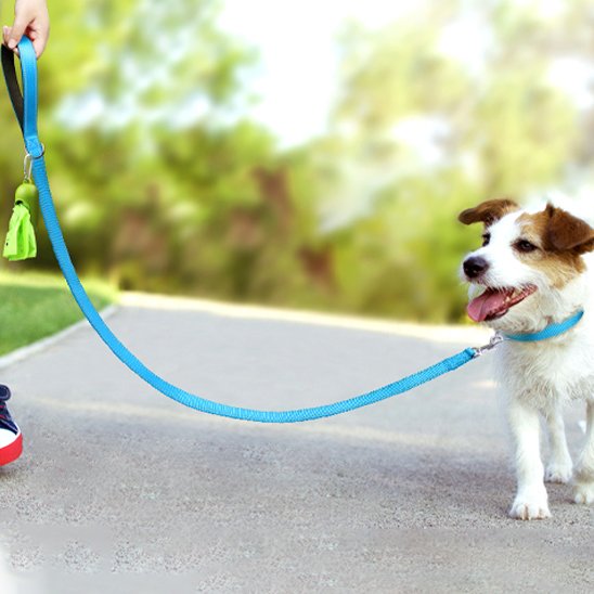 Laisse pour chien Que Calor bonheur