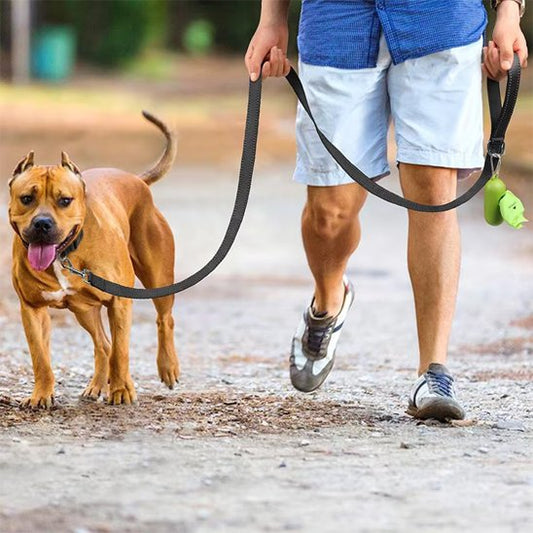 Laisse pour chien Que calor noir