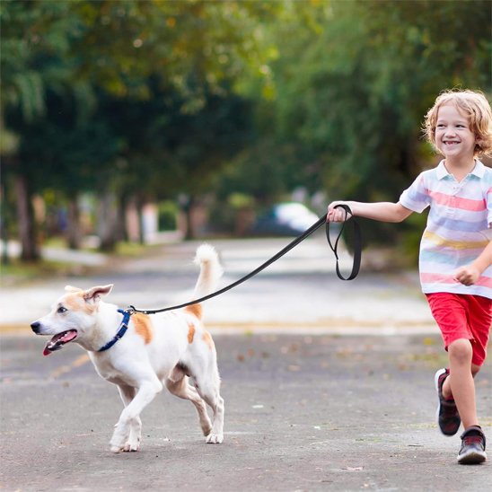 Laisse pour chien Que Calor parc
