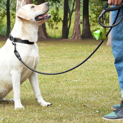 Laisse pour chien ronde chic entrainement