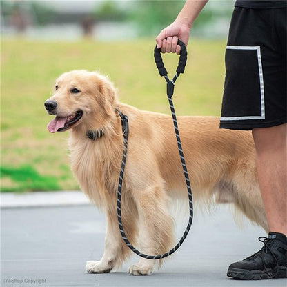 Laisse pour chien ronde chic Golden 