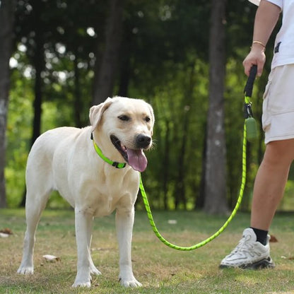 Laisse pour chien ronde chic Labrador