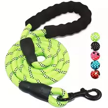 Laisse pour chien ronde chic couleur Lime