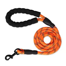 Laisse pour chien ronde chic orange