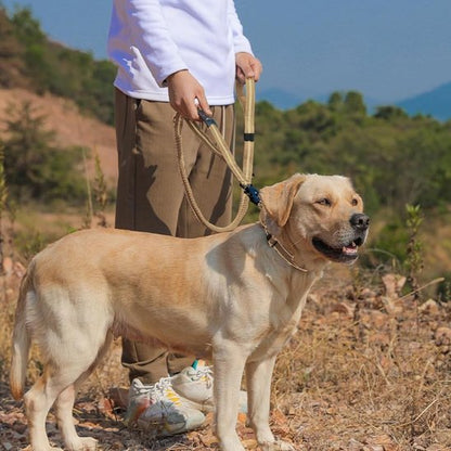 Laisse pour chien TakTRik Zen Labrador randonnée