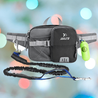 Laisse pour Chien - WaistBag™ - Gris - Chiencompagnon