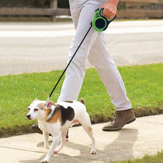 laisse retractable homme chien