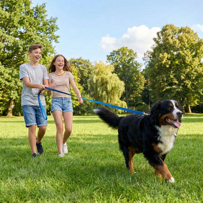 longe pour chien jeune couple en promenade anmusante avec leur chien
