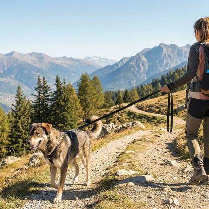 Longe pour chien dans un sentier de montagne