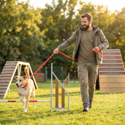 longe pour chien en entrainement dans un parcours canin