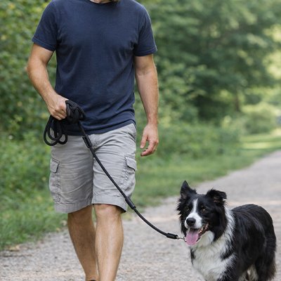 Longe pour Chien 0-Zen Berger 