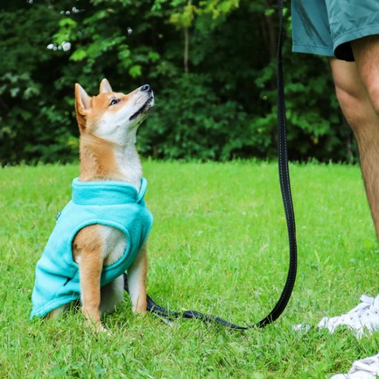 Manteau chien Akita Fleece Turquoise promenade