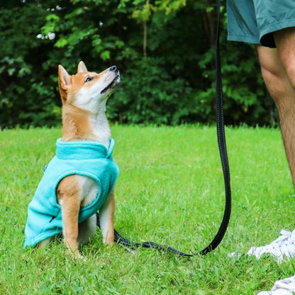 Manteau chien Akita Fleece Turquoise promenade