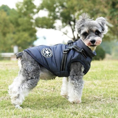 Manteau Chien Boreal chic bleu