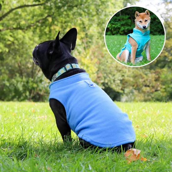 Manteau chien Bouledogue Fleece bleu