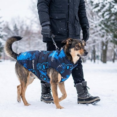 Manteau chien Extra-Grand Chic Bleu